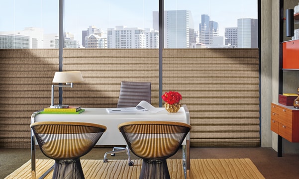 Vignette-Modern-Roman-Shades-Tall-Windows