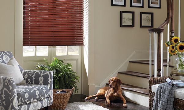 wood-blinds-living-room